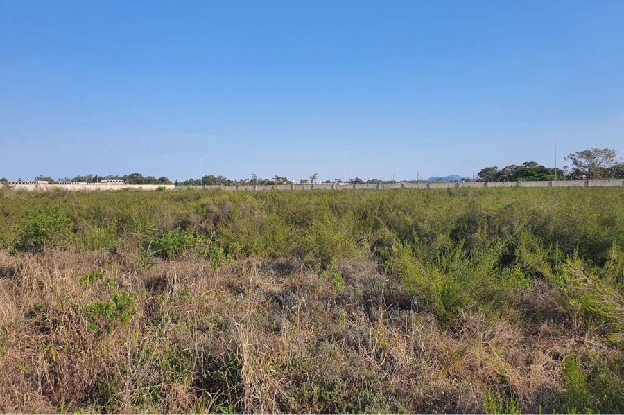 0 Bedroom Property for Sale in Greenbushes Eastern Cape